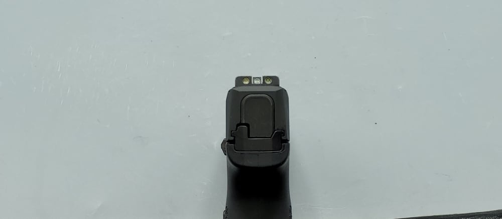 Sig Sauer P365 .380 ACP 3.1" Optic Ready-img-4