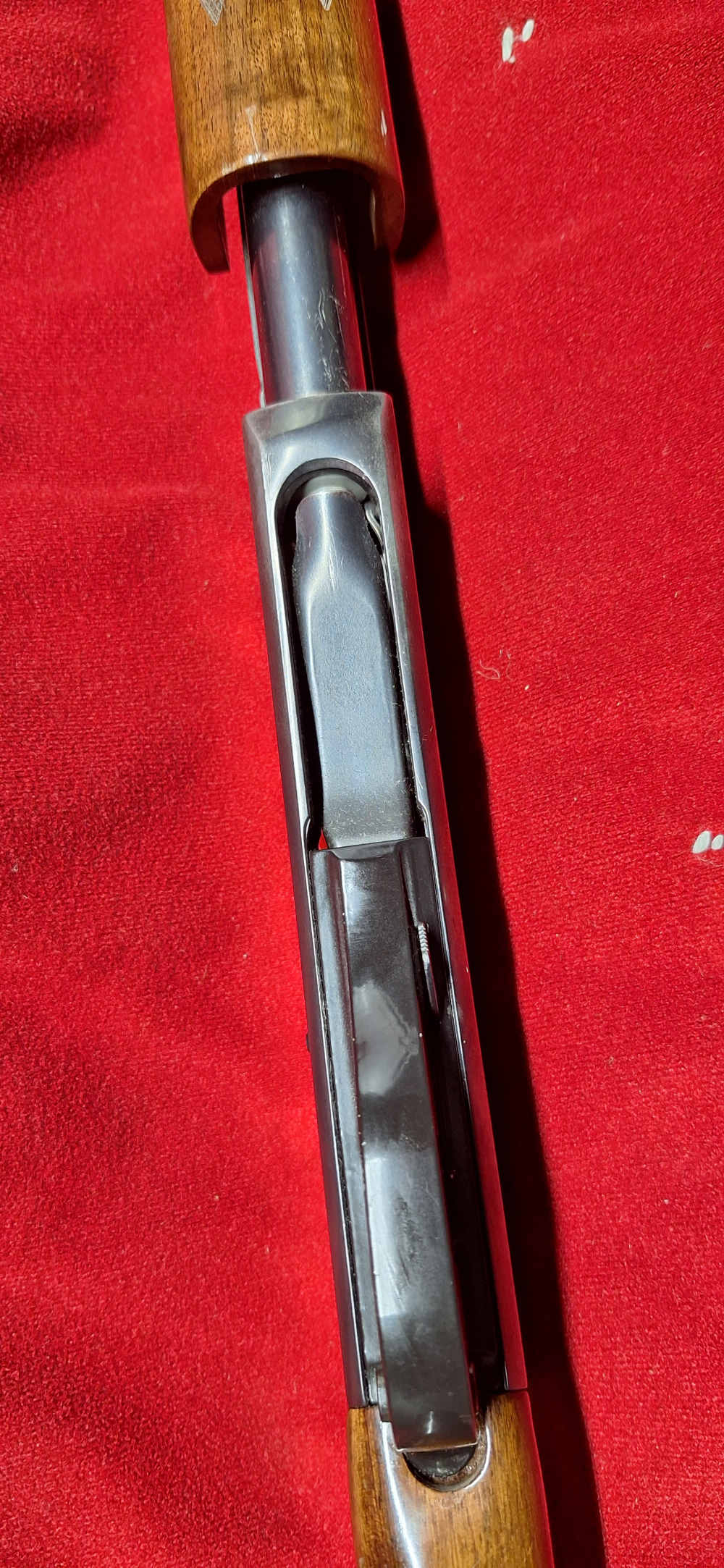 Remington 870 Wingmaster 20 Ga ENGRAVED-img-18