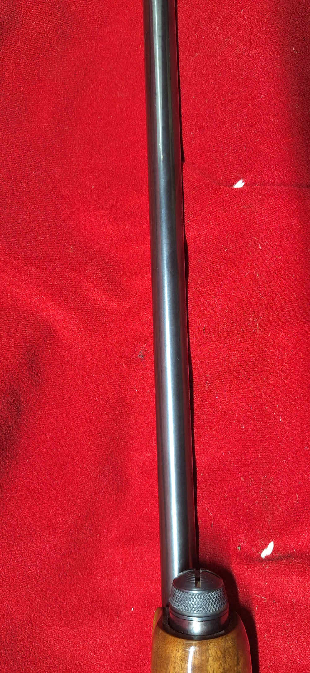 Remington 870 Wingmaster 20 Ga ENGRAVED-img-20