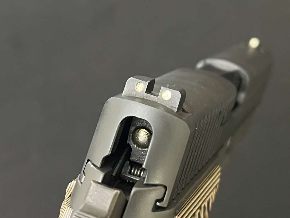 Sig Sauer P226 DA/SA in 9mm -img-13
