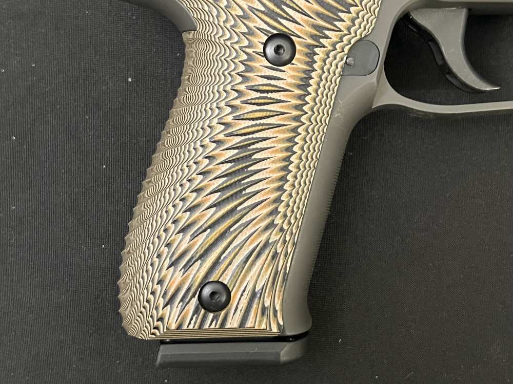 Sig Sauer P226 DA/SA in 9mm -img-7
