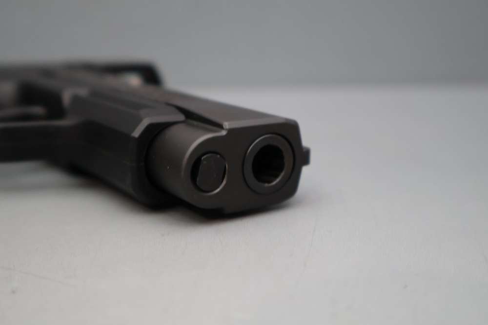 Sig Sauer P365XL 9mm 3.8" w/ Romeo Zero RDS-img-17