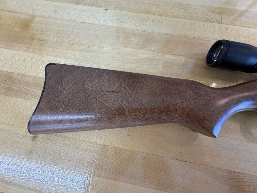 Ruger 10/22 Stainless Carbine Rifle with Bushnell Banner Scope 4-12x40mm-img-7