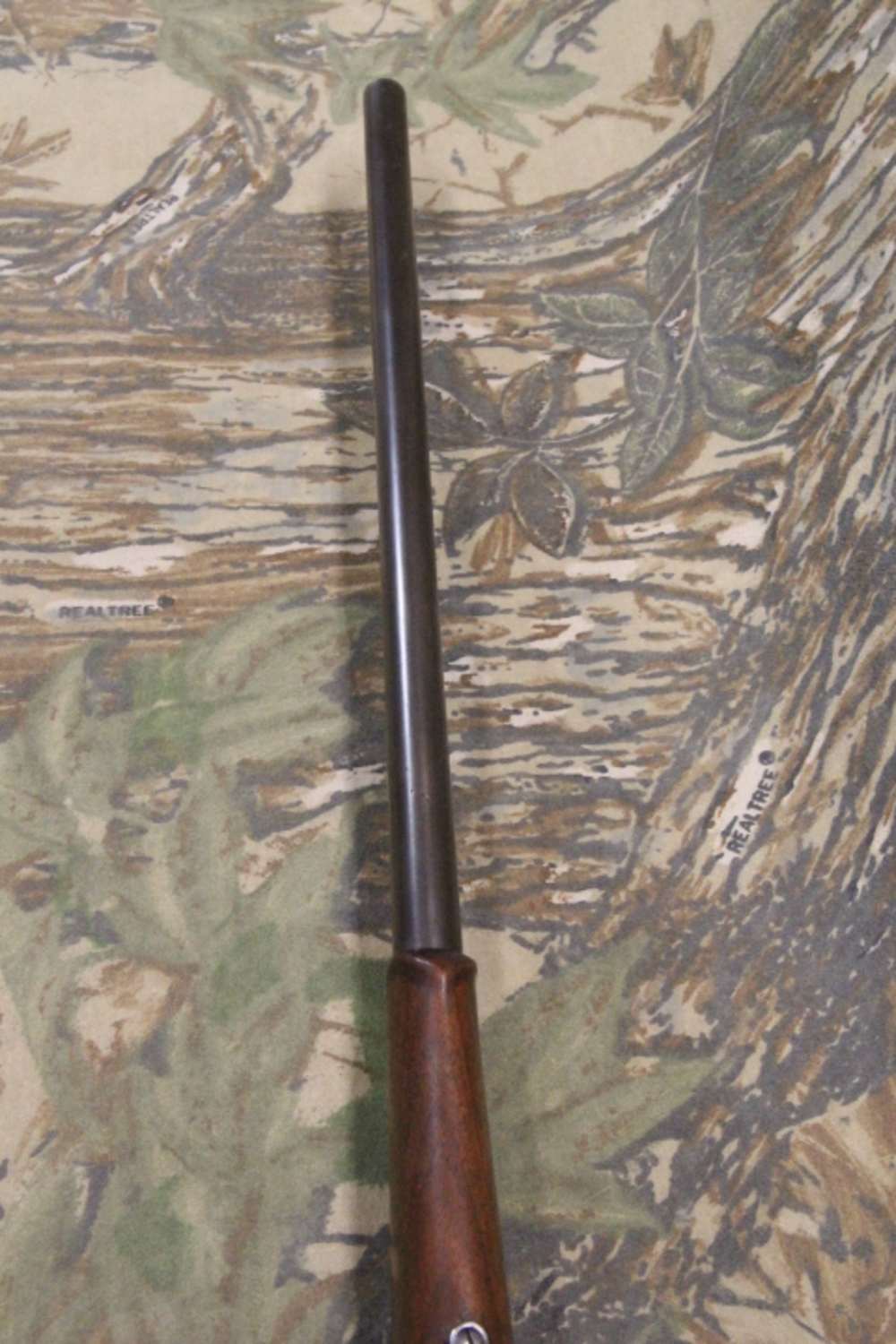 Savage Model 99 chambered in 303 Savage-img-19