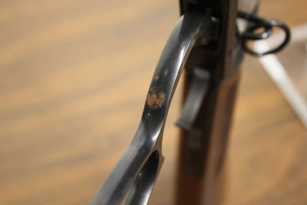 Henry Mare's Leg, 22WMR-img-16