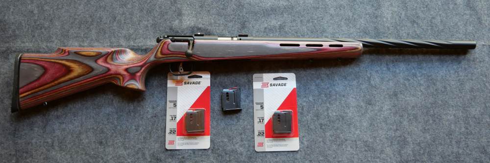 SAVAGE MODEL 93 BRJ .22WMR-img-0