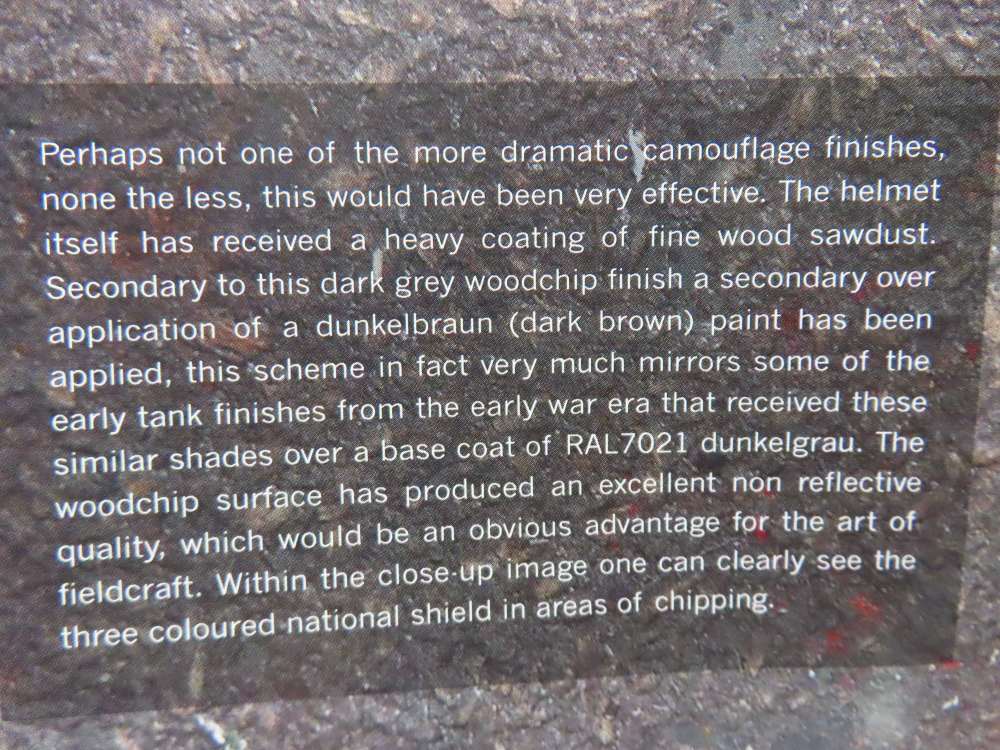 TARNFARBEN VOLUME 1 CAMOUFLAGE PAINTED RELICS OF WWII-img-21