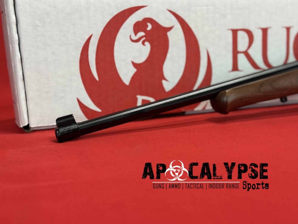 Ruger 10/22 -img-6