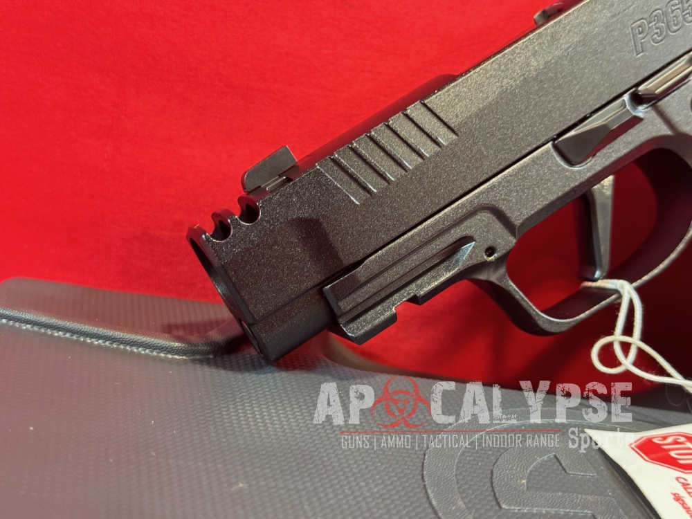 Sig P365 AXG Luxe 380-img-9