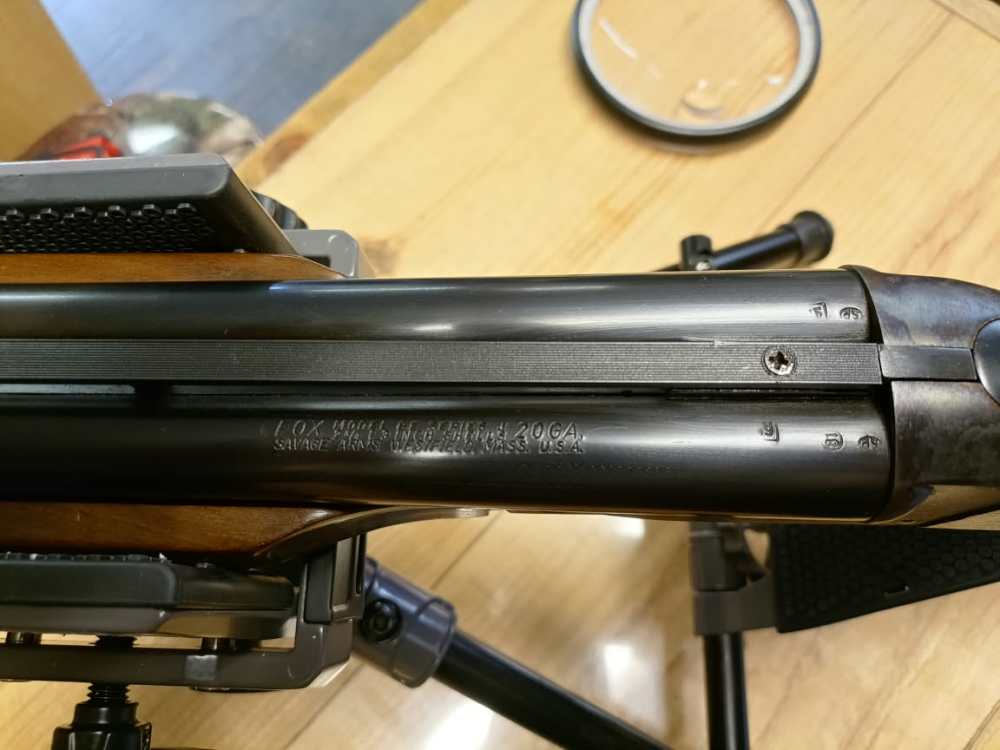  Beautiful Fox Savage B Series 20G-img-7