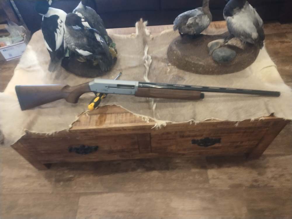 Browning Silver Hunter 20 ga.-img-0