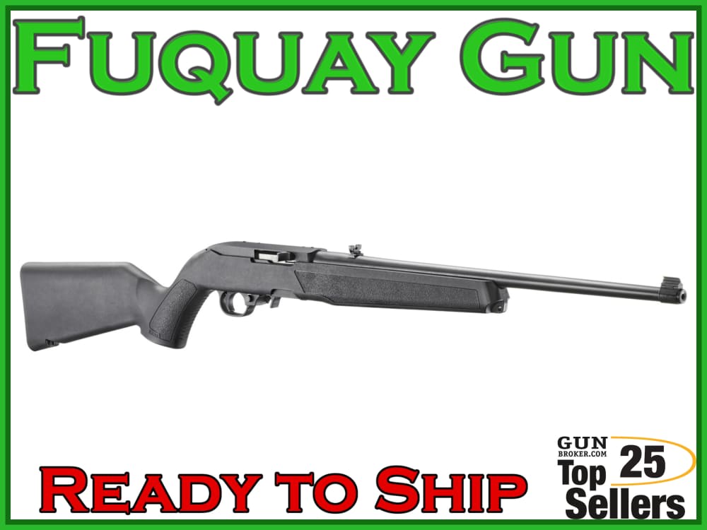 Ruger 10/22 -img-1