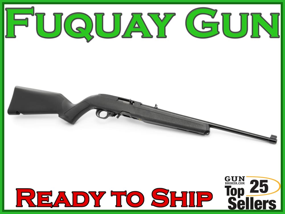 Ruger 10/22 -img-3
