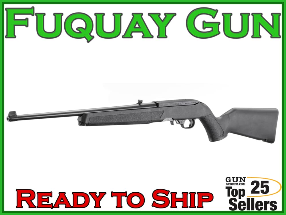 Ruger 10/22 -img-4