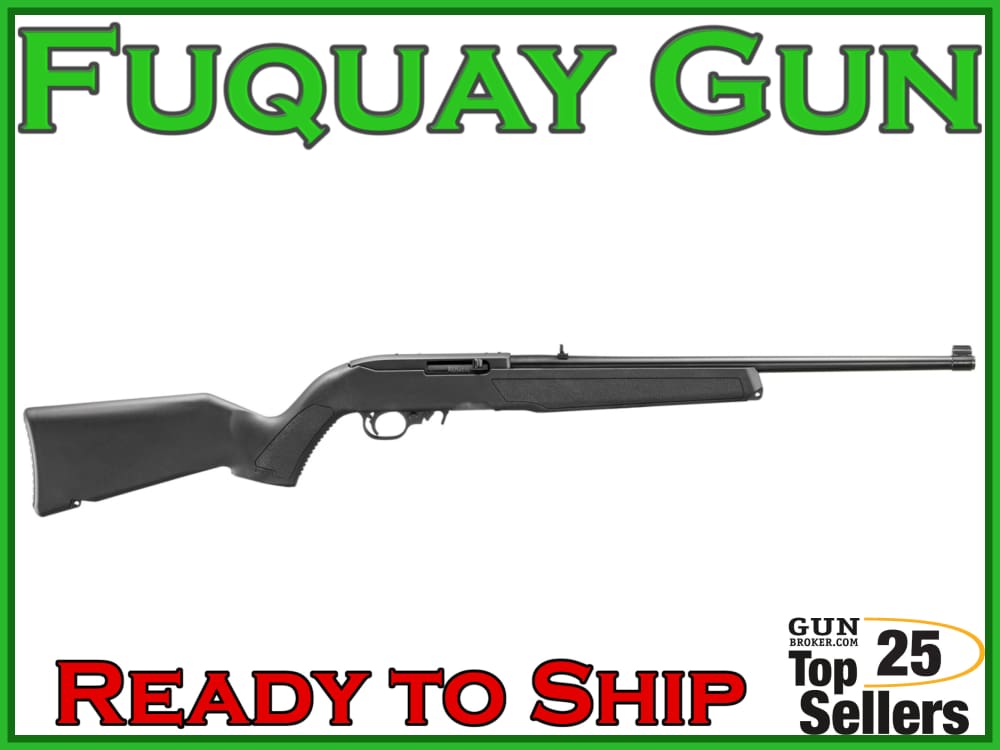 Ruger 10/22 -img-0