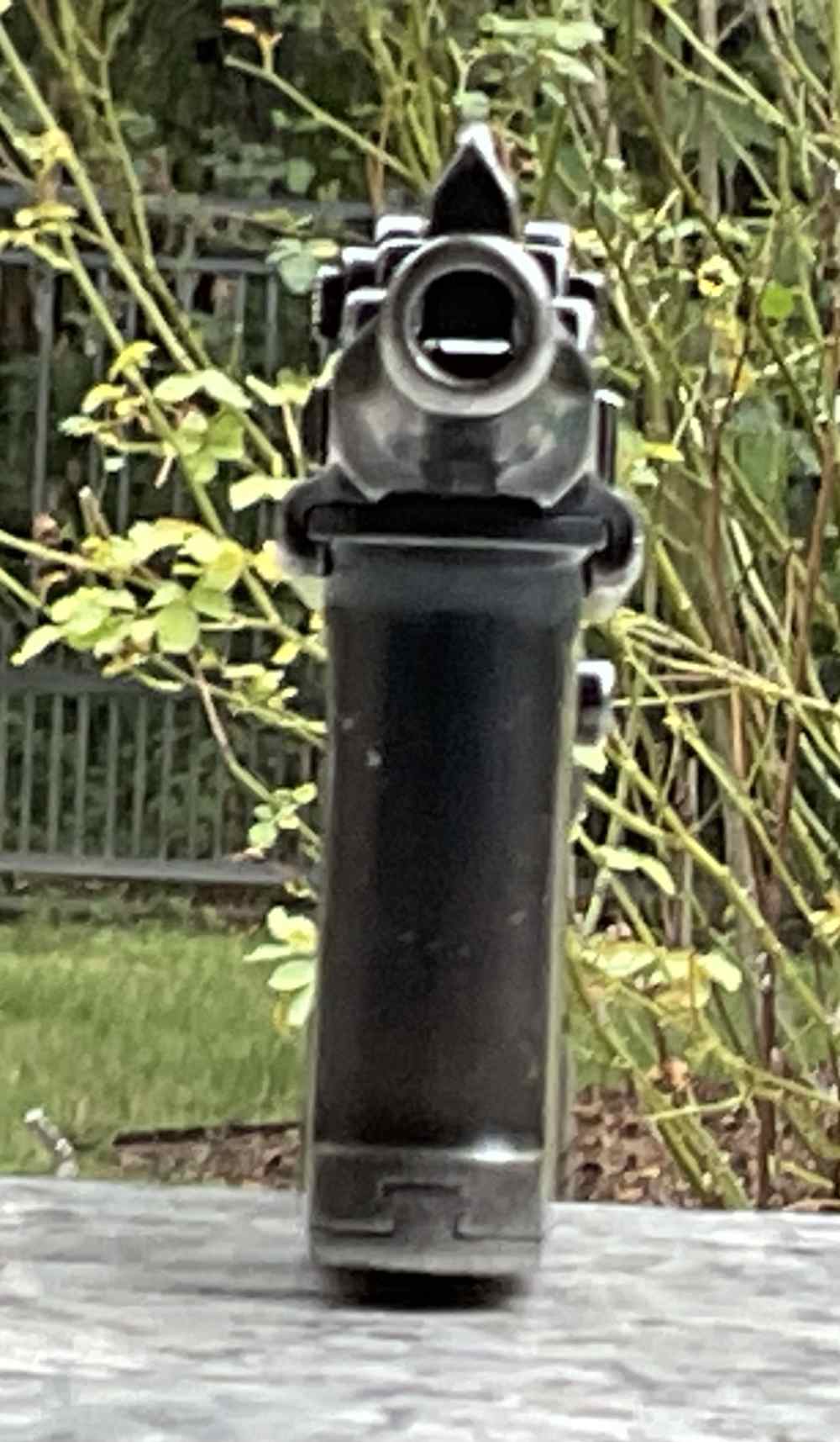 C96, bolo-img-17