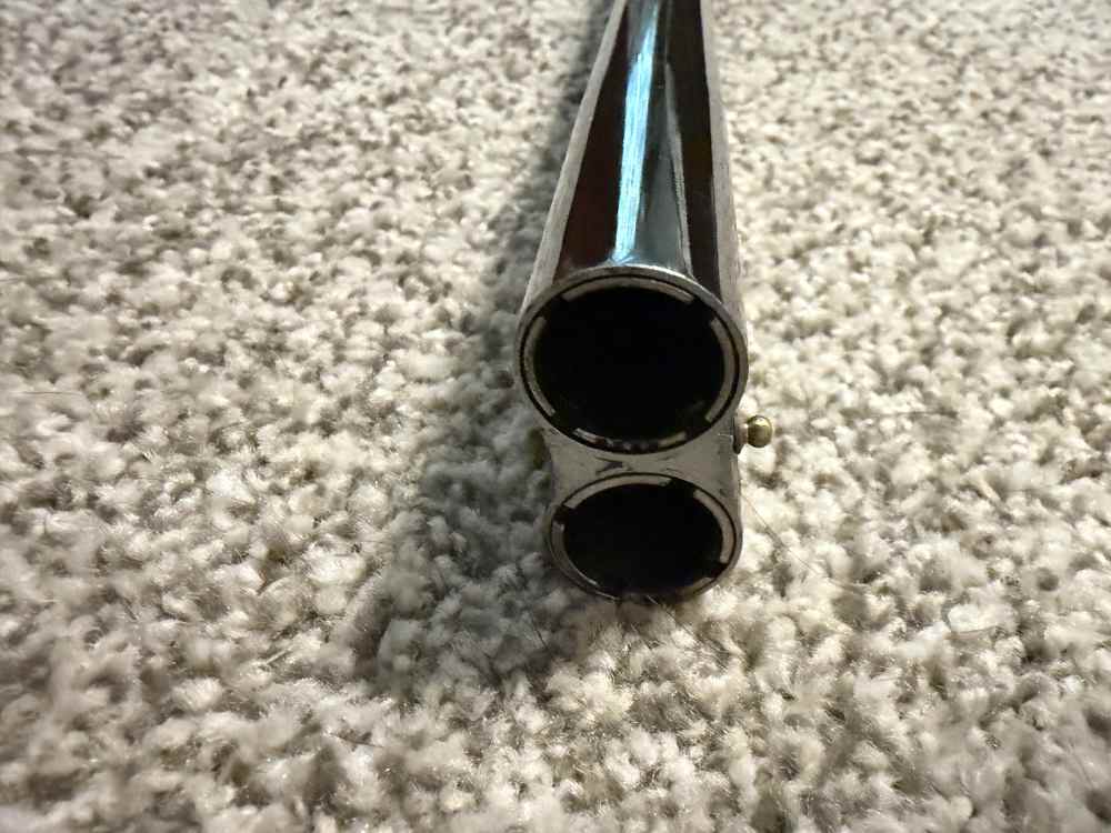 CZ Ringneck beautiful case colors! 28” barrel single selective trigger-img-9