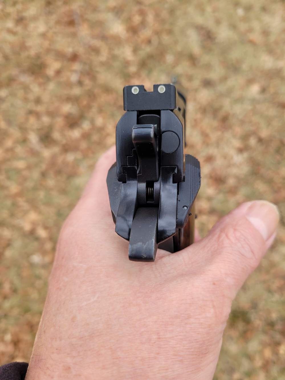 BHAdvanced Carry 1911 SFS Full Size .45ACP RIA by The Hi-Power Medic-img-7