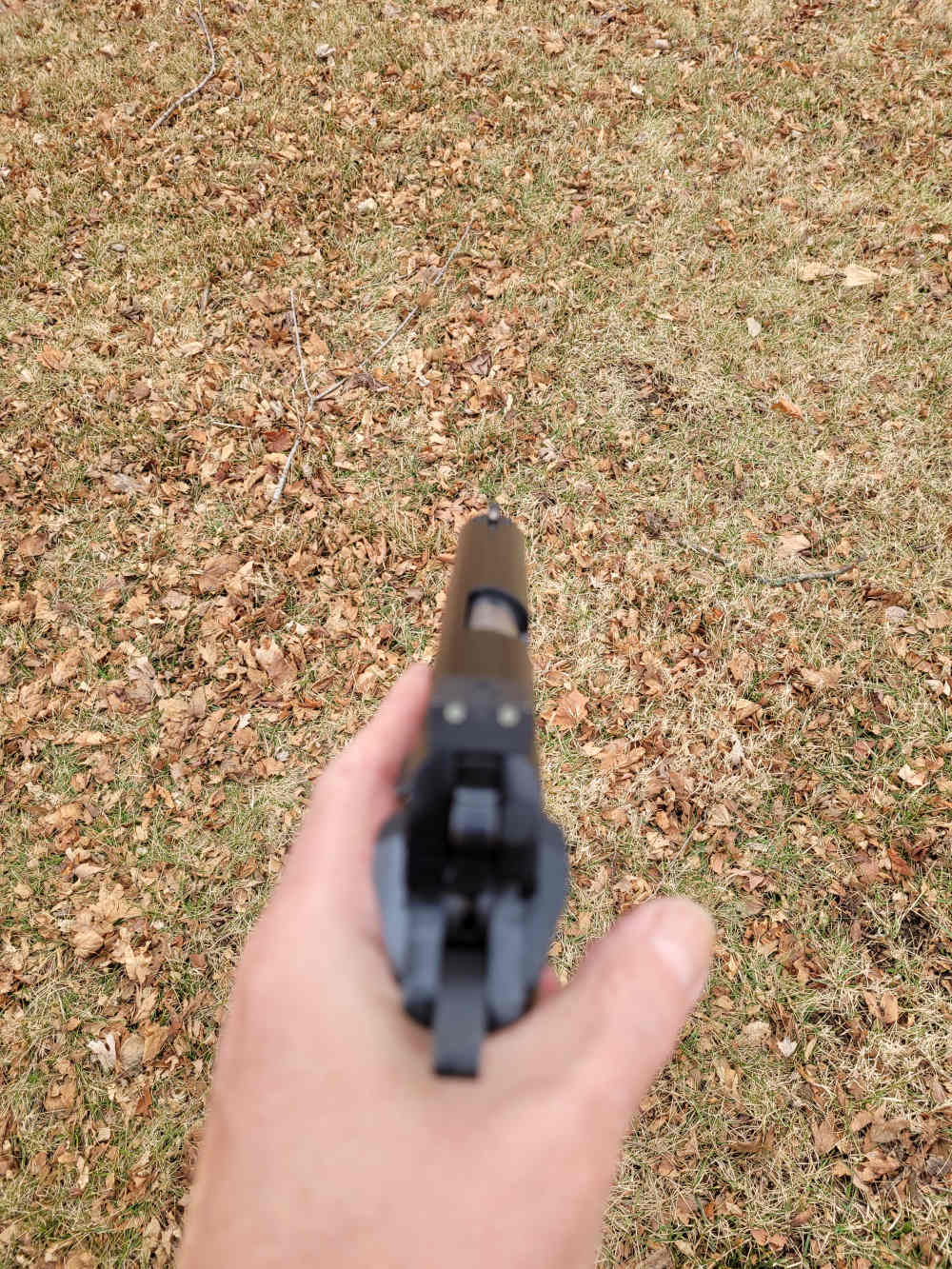 BHAdvanced Carry 1911 SFS Full Size .45ACP RIA by The Hi-Power Medic-img-6