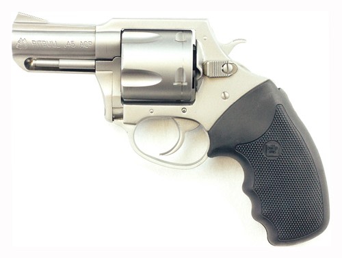 Charter ARMS PIT BULL 45ACP-img-1
