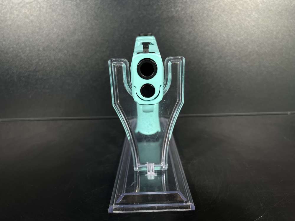 Sig Sauer P365 9mm Pistol-img-6