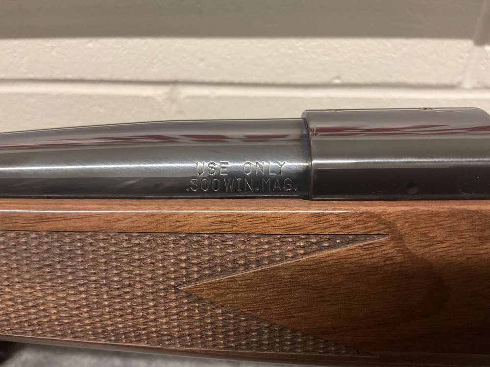 Weatherby Vanguard 300 Win Mag-img-18