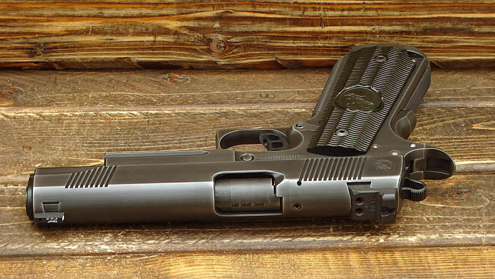 Nighthawk Custom GRP GOV 9mm-img-4