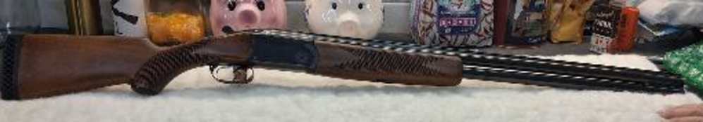 ERA 12GA-img-0