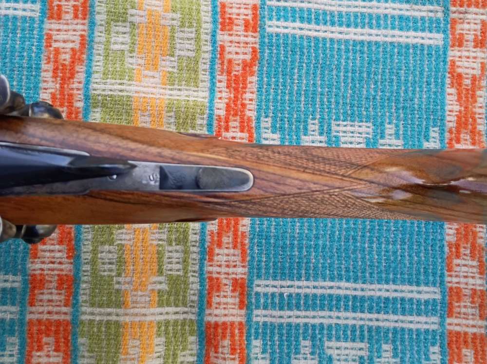 SIACE di Gelmini 350G Lusso 12ga External Hammer Gun New England Arms SxS-img-32