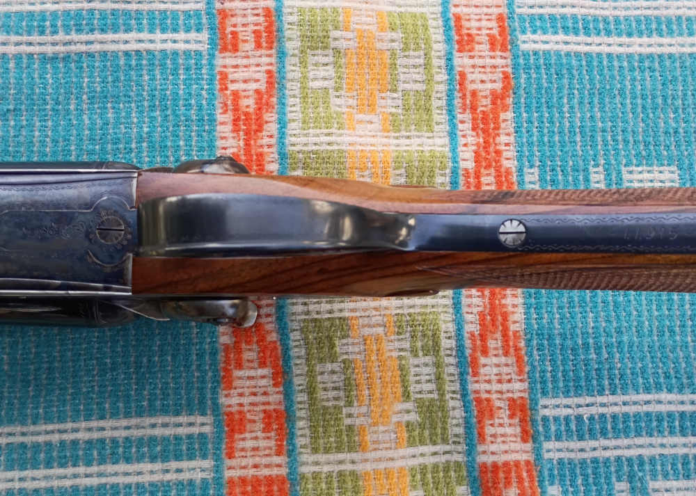 SIACE di Gelmini 350G Lusso 12ga External Hammer Gun New England Arms SxS-img-26