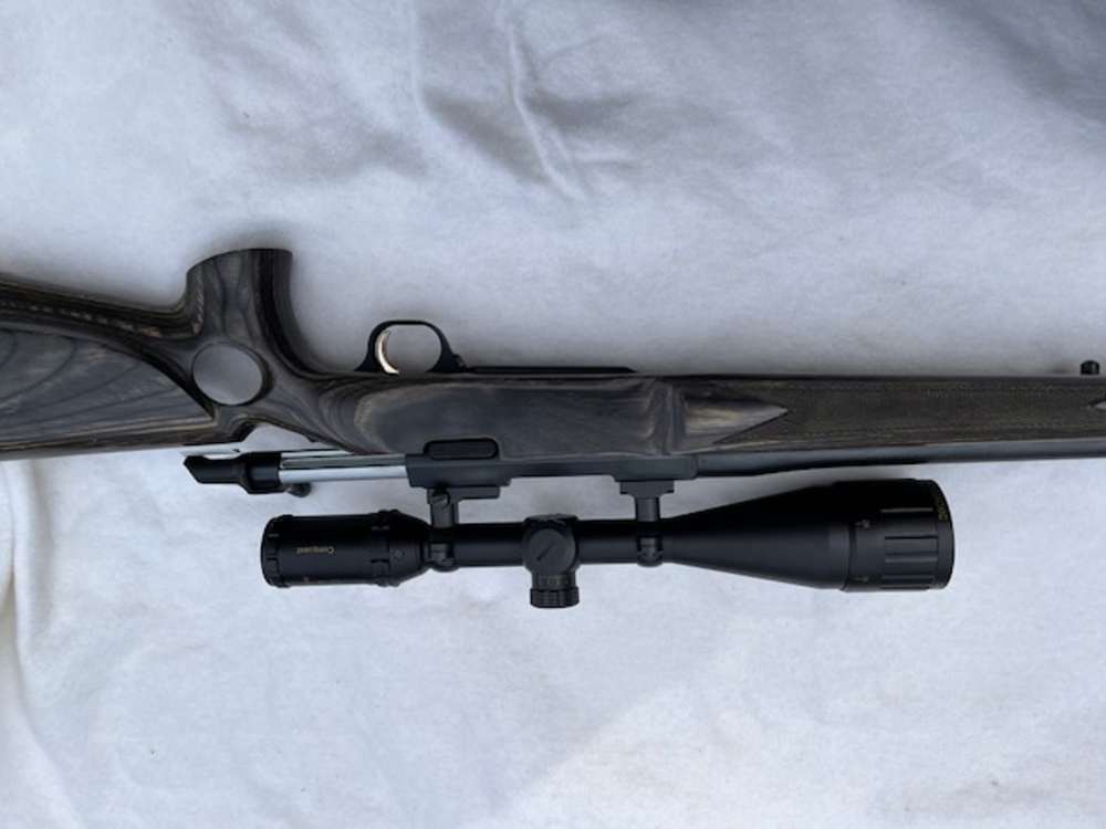 Browning A Bolt-img-8
