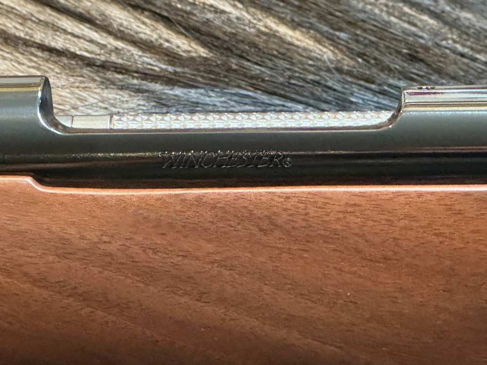 FREE SAFARI, NEW WINCHESTER MODEL 70 SUPER GRADE 243 Win 22"-img-15