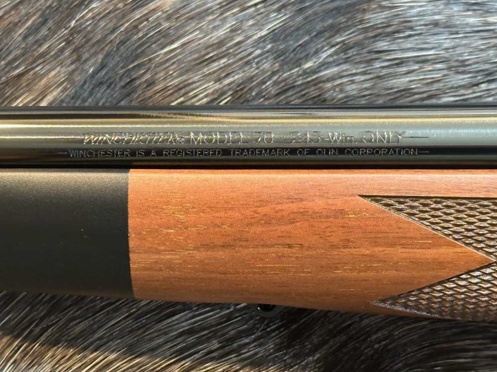FREE SAFARI, NEW WINCHESTER MODEL 70 SUPER GRADE 243 Win 22"-img-13