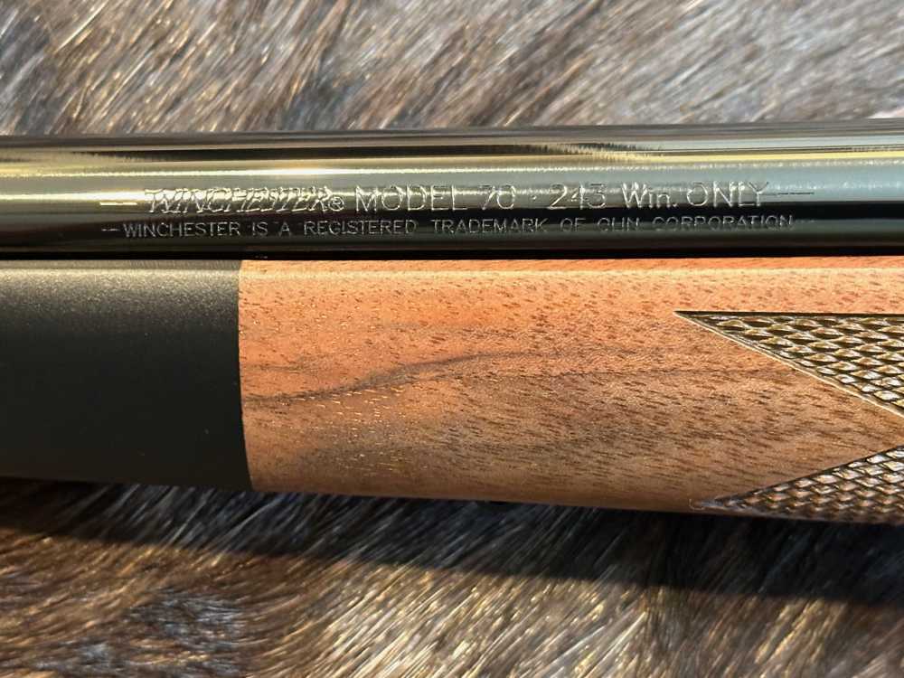 FREE SAFARI, NEW WINCHESTER MODEL 70 SUPER GRADE 243 Win 22" GOOD WOOD-img-13