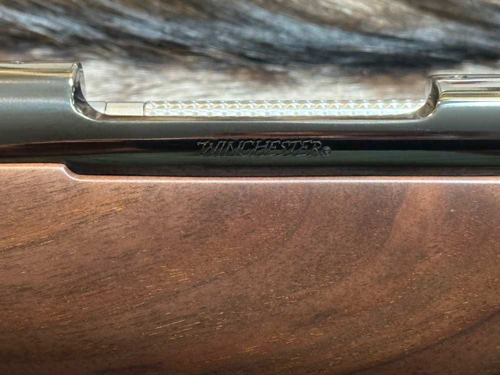 FREE SAFARI, NEW WINCHESTER MODEL 70 SUPER GRADE 243 Win 22" GOOD WOOD-img-15