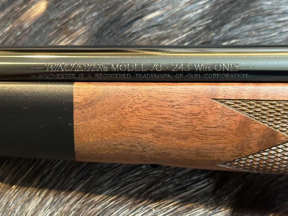 FREE SAFARI, NEW WINCHESTER MODEL 70 SUPER GRADE 243 Win 22" GOOD WOOD-img-13