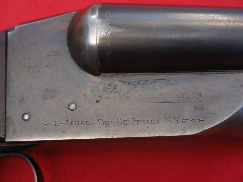 Ithaca Flues S/S  Hammerless  12 Ga  2 ¾"Chamber 28"Barrels MFG 1925 C&R OK-img-14