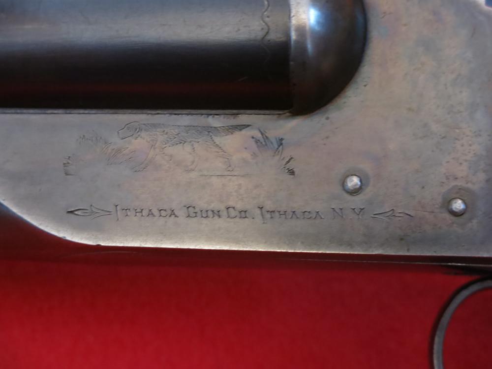 Ithaca Flues S/S  Hammerless  12 Ga  2 ¾"Chamber 28"Barrels MFG 1925 C&R OK-img-8
