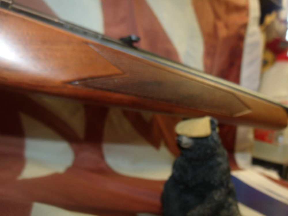Winchester Model 490 Semi-Automatic .22 LR Rifle -img-19