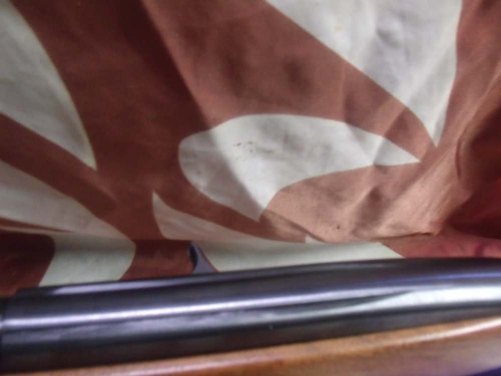 Winchester Model 490 Semi-Automatic .22 LR Rifle -img-8