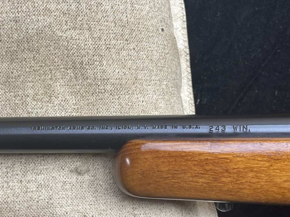 Remington Model 788 243 Win-img-9