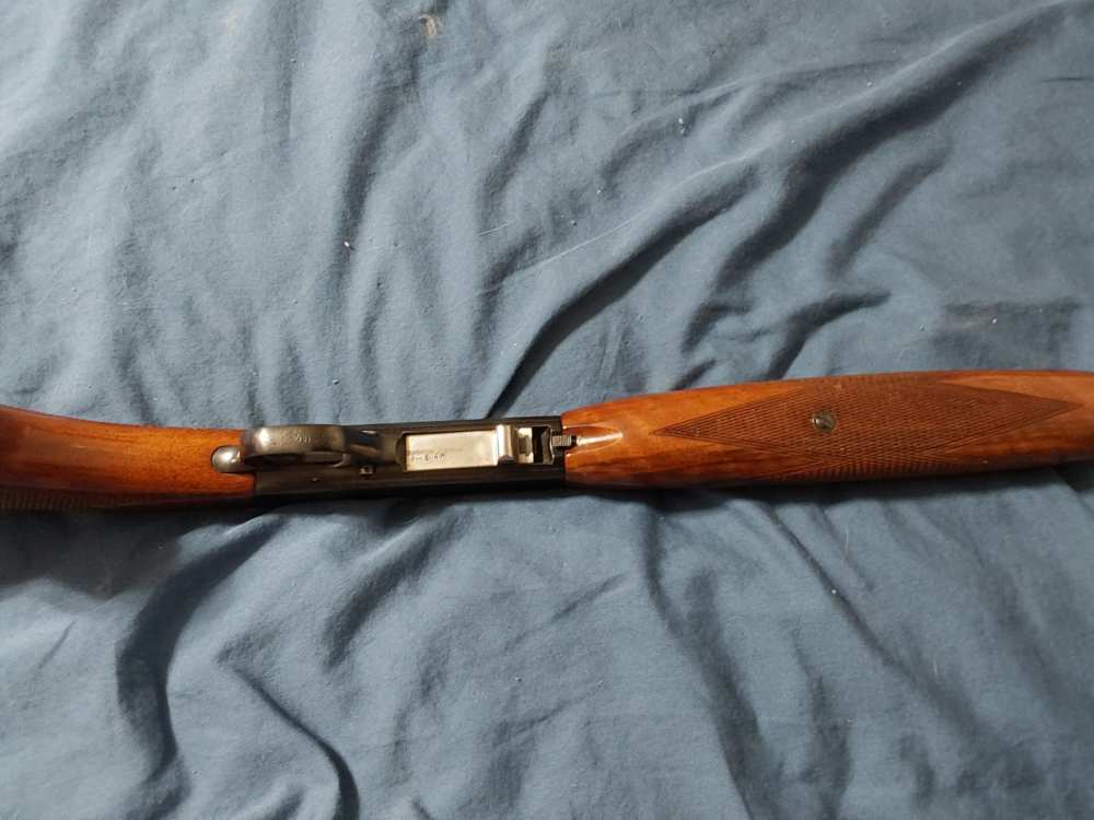 Browning sa22 takedown -img-2