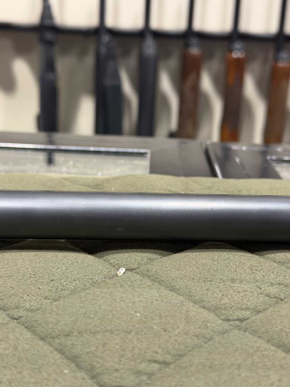 Winchester 101 Special Trap -img-69