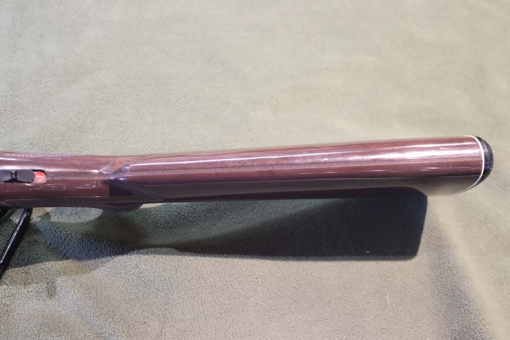Remington Nylon 66 .22 LR Semiautomatic Rifle-img-13
