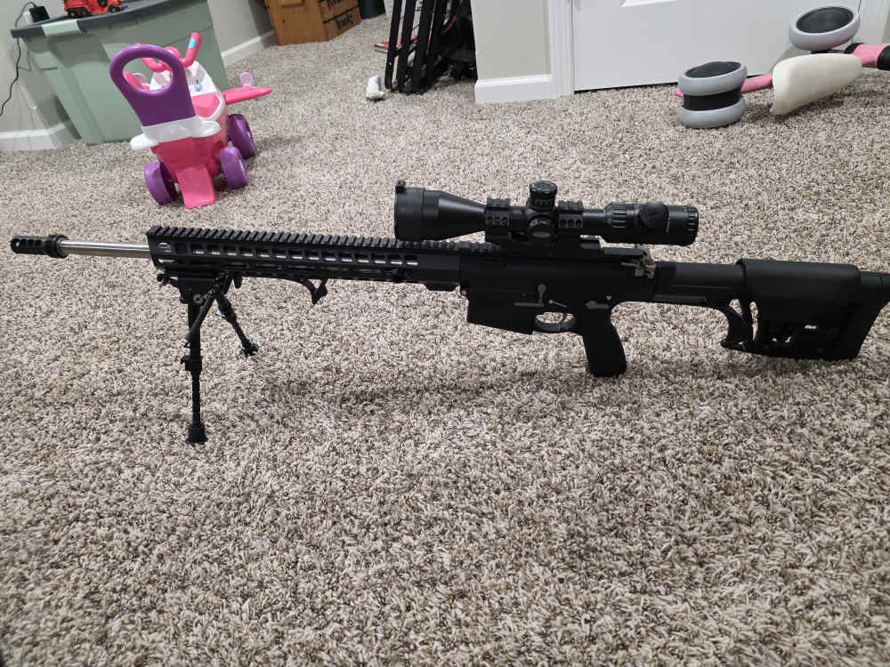 Palmetto AR-10 Build-img-1