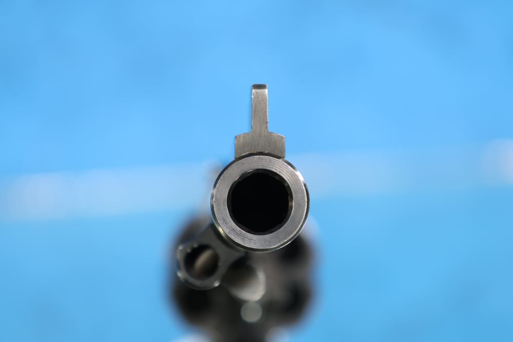 Ruger New Model Super Blackhawk 44 Mag -img-32