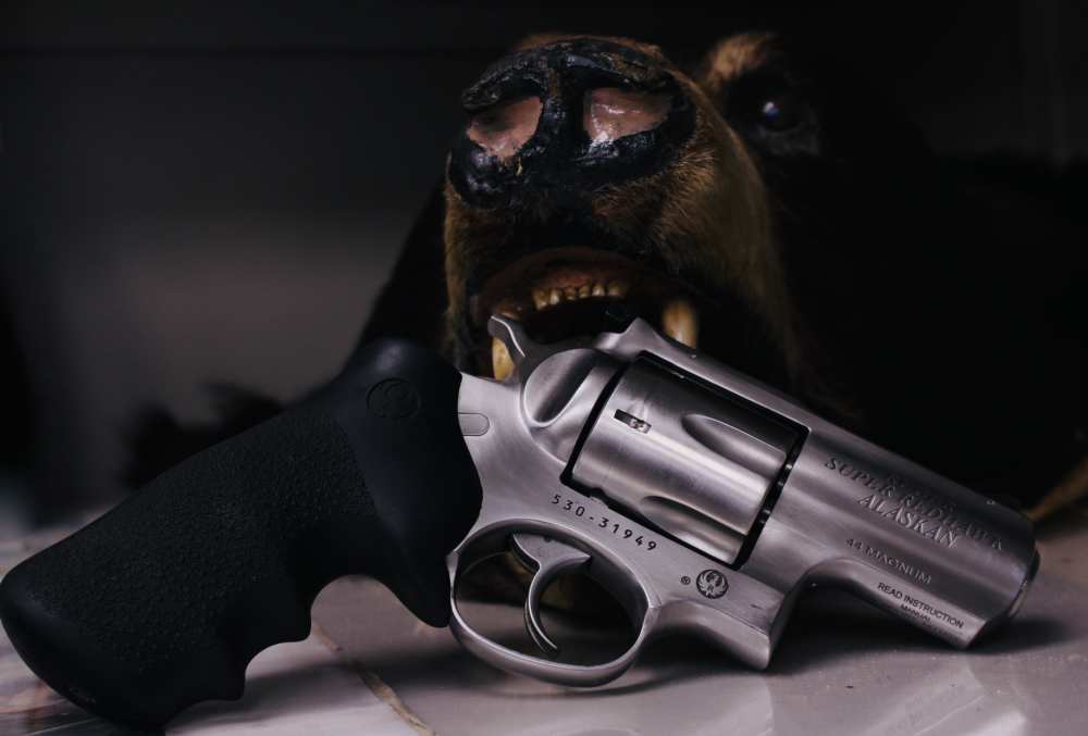 Ruger Super Redhawk Alaskan 44 Mag 2.5" 6 rd Stainless Mint Condition! 2013-img-0