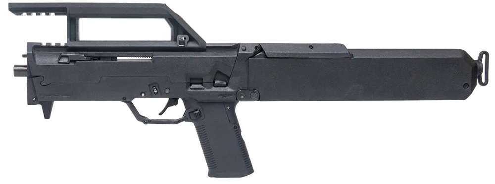 Zev FDP-img-0