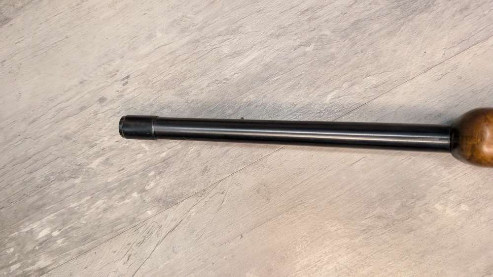 Ruger 10/22 Carbine .22LR-img-13