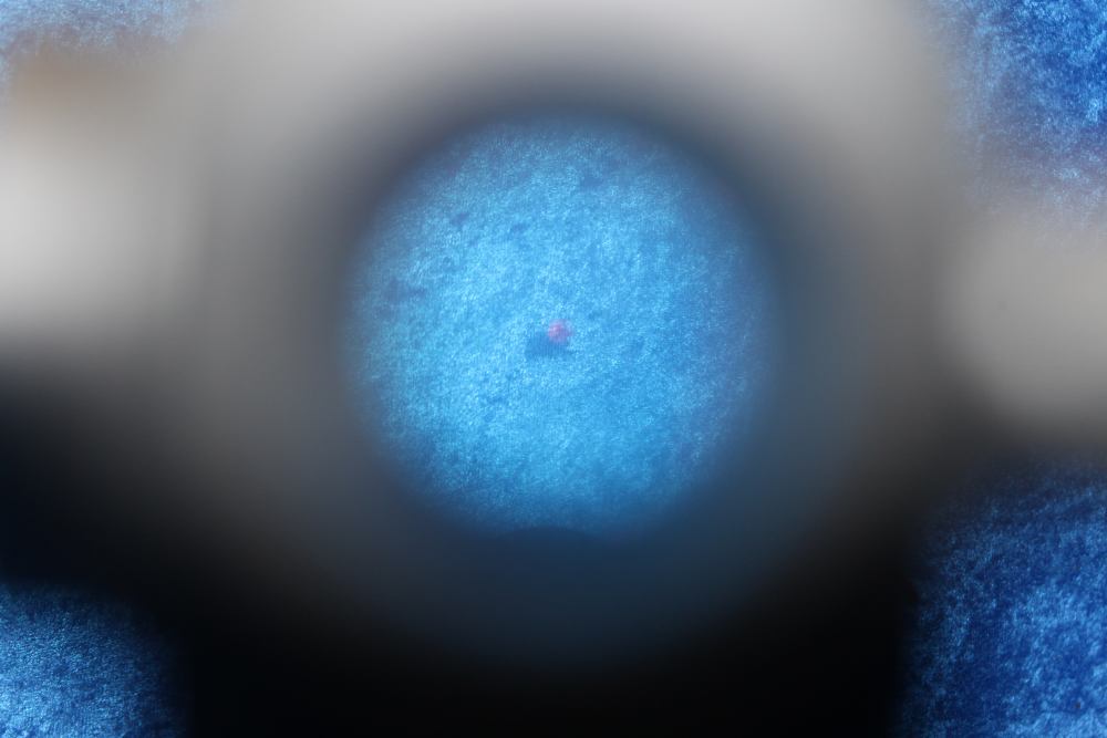 Anderson AM-15 5.56 NATO Semi-Automatic Rifle 16" Barrel w/ Red Dot, Brake-img-54